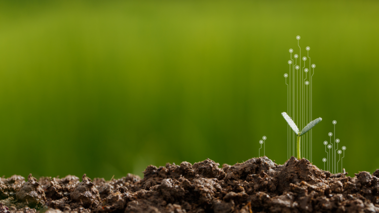 Accessible PDF as a CSR imperative to reach all your audiences